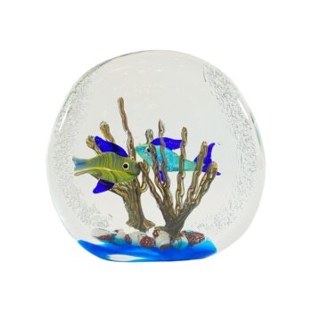 Acquario Pesci Su Alga